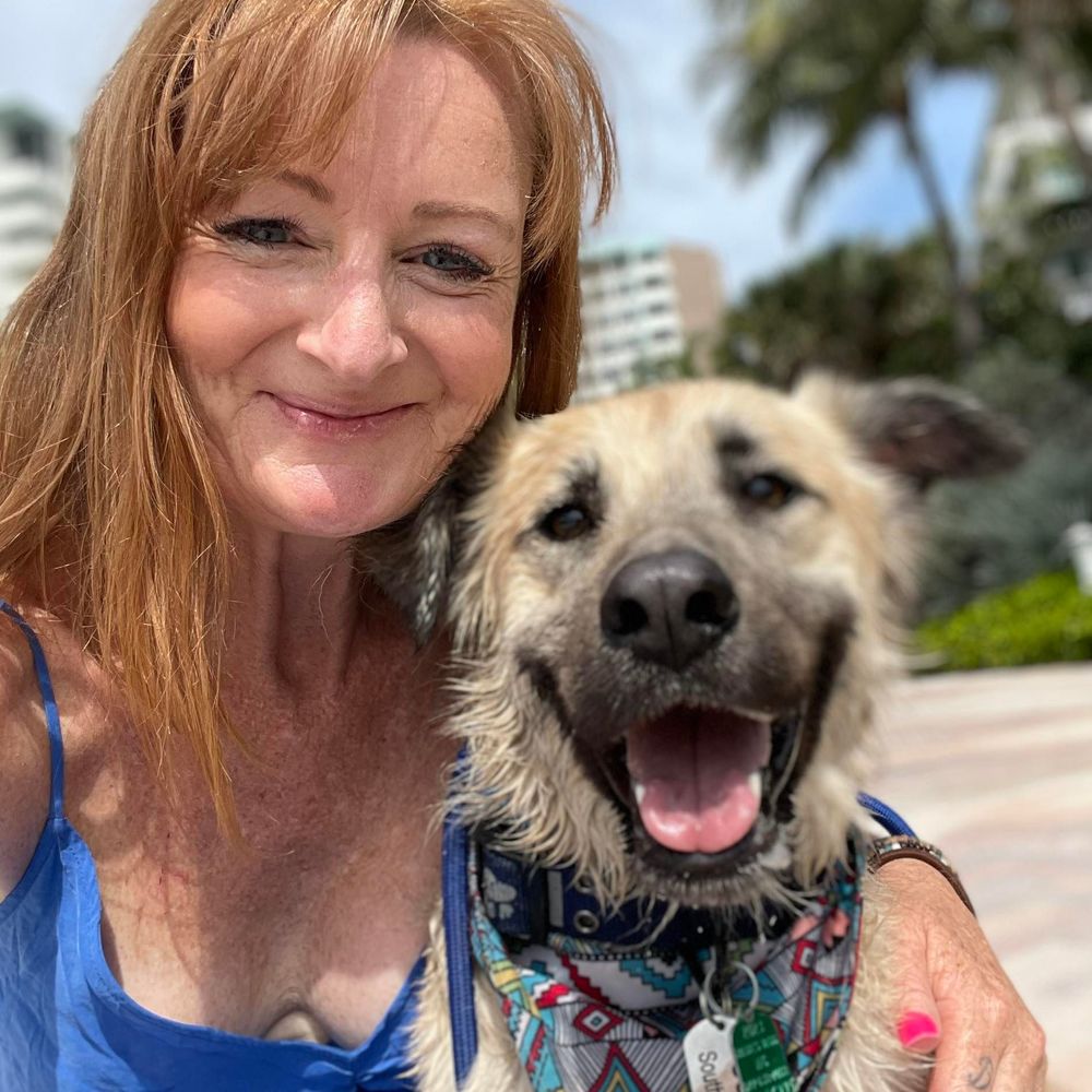 Meet your Posher, Shelley